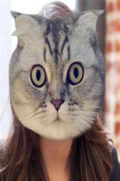 猫脸相机app
